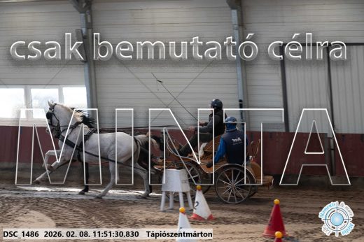 Mintakép 20260208-746