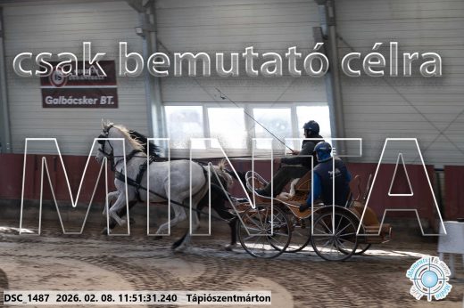 Mintakép 20260208-747