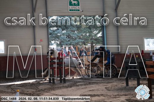 Mintakép 20260208-748