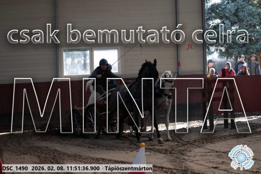 Mintakép 20260208-750