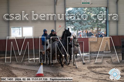 Mintakép 20260208-751