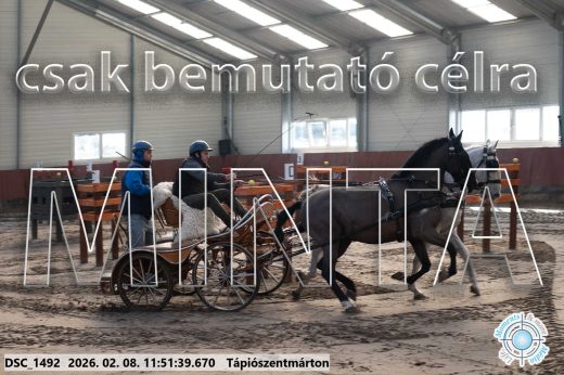 Mintakép 20260208-752