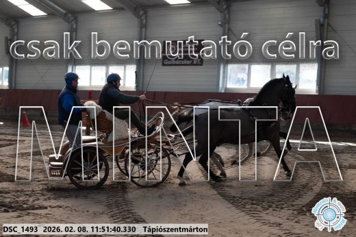 Mintakép 20260208-753