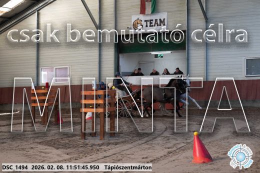 Mintakép 20260208-754