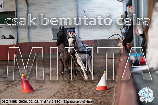 Mintakép 20260208-758