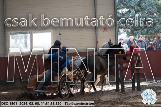 Mintakép 20260208-761