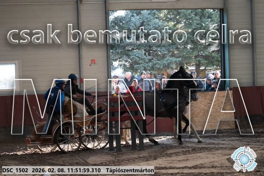 Mintakép 20260208-762