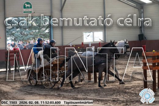 Mintakép 20260208-763
