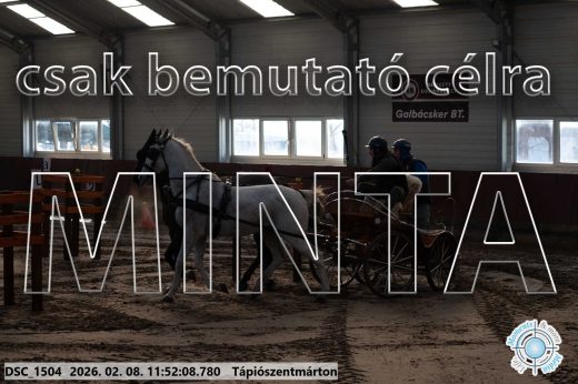 Mintakép 20260208-764