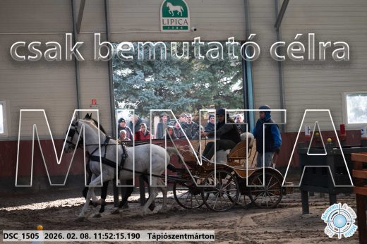 Mintakép 20260208-765