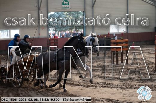Mintakép 20260208-766
