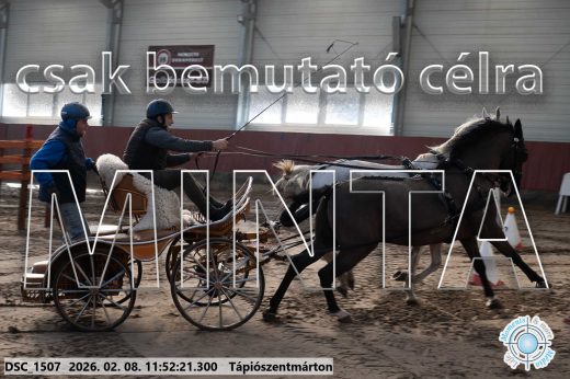 Mintakép 20260208-767