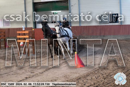 Mintakép 20260208-769