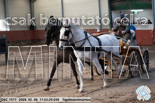 Mintakép 20260208-771