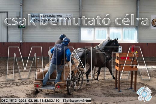 Mintakép 20260208-772