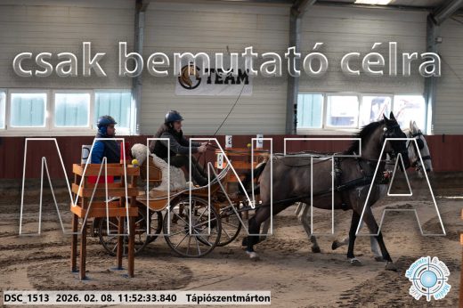 Mintakép 20260208-773