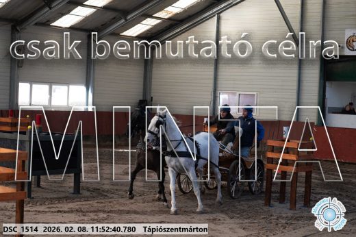 Mintakép 20260208-774
