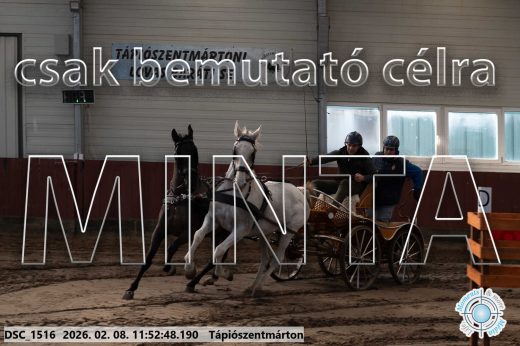 Mintakép 20260208-776
