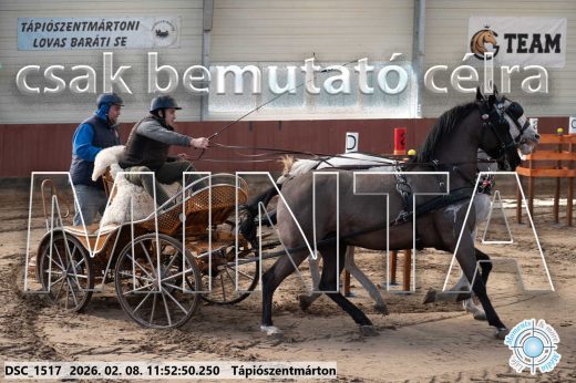 Mintakép 20260208-777