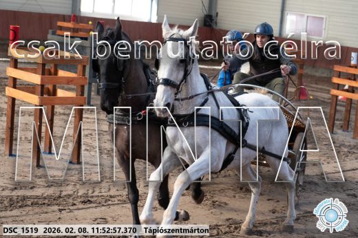 Mintakép 20260208-779