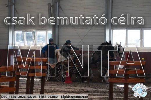 Mintakép 20260208-780