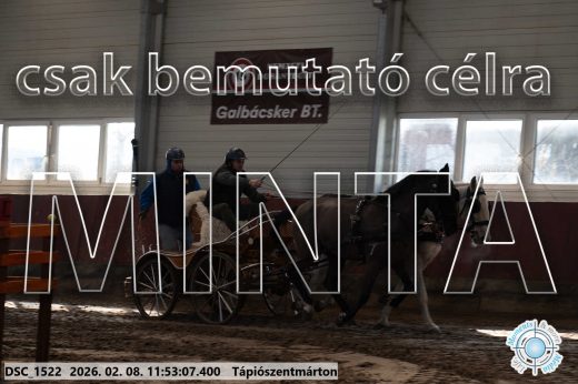 Mintakép 20260208-782