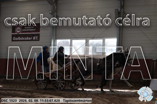 Mintakép 20260208-783
