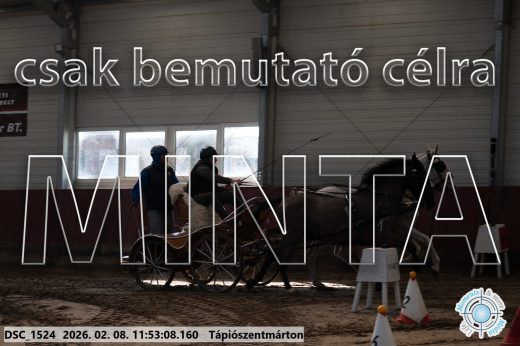 Mintakép 20260208-784