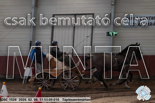 Mintakép 20260208-786