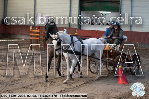 Mintakép 20260208-789