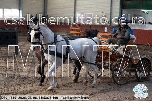 Mintakép 20260208-790