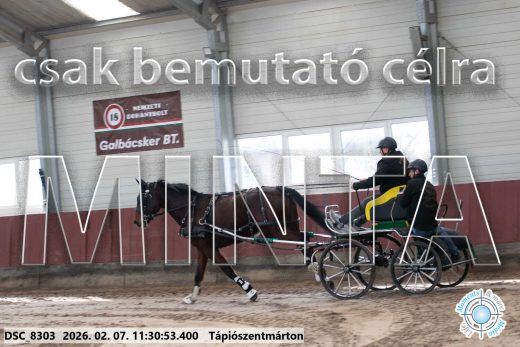 20260207-113053-DSC_8303.jpg