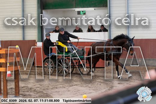 Mintakép 20260207-503