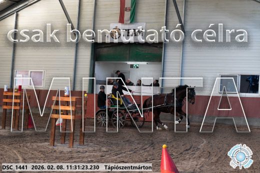 Mintakép 20260208-799