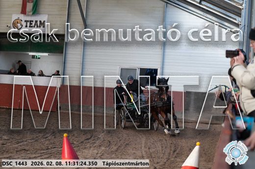 Mintakép 20260208-800