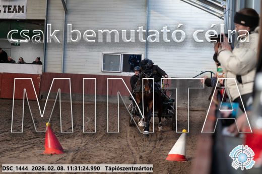 Mintakép 20260208-801