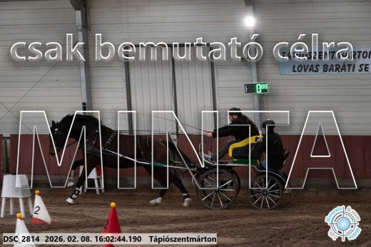 Mintakép 20260208-810