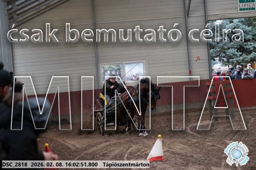 Mintakép 20260208-814
