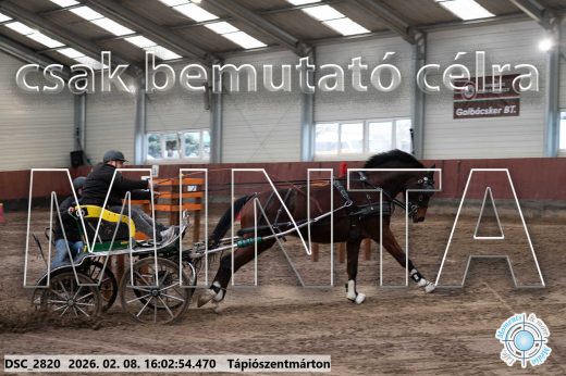 Mintakép 20260208-816