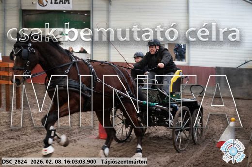 Mintakép 20260208-820