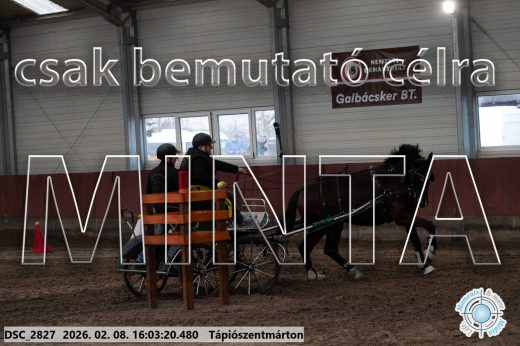 Mintakép 20260208-823