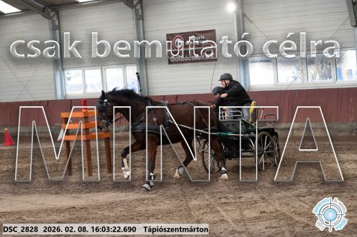 Mintakép 20260208-824