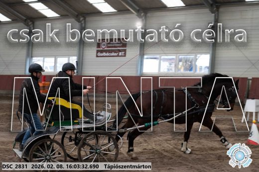 Mintakép 20260208-827