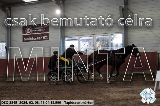 Mintakép 20260208-837