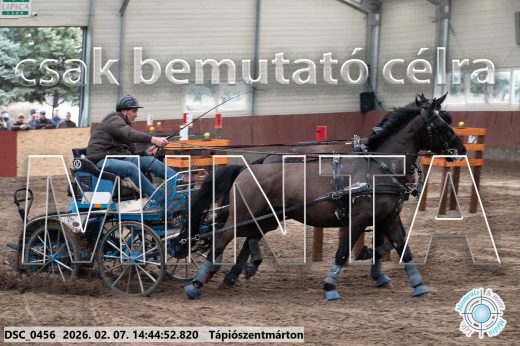 Mintakép 20260207-513