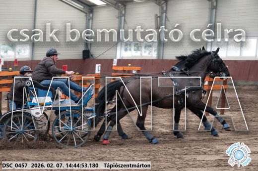 Mintakép 20260207-514