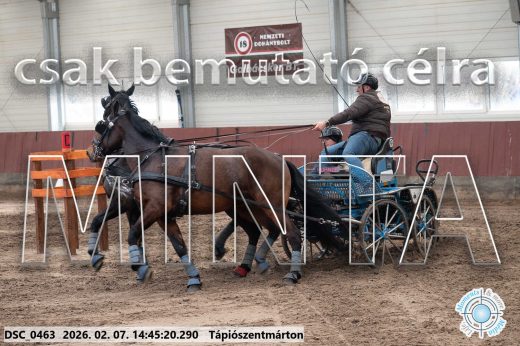 Mintakép 20260207-518