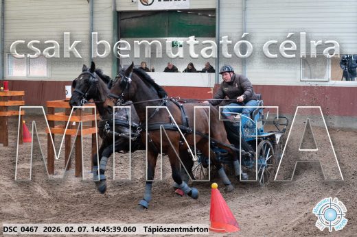 Mintakép 20260207-522
