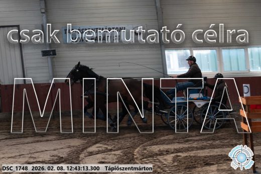 Mintakép 20260208-841