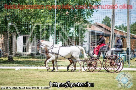 Mintakép 20260612-278